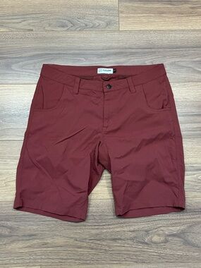 Flylow Hot Tub Shorts in Burgundy Size Large